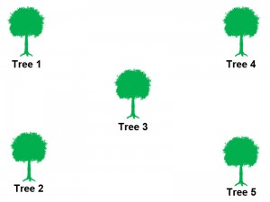 5trees